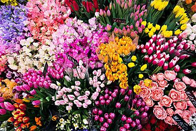 国产游戏之光！《原神》参与冬奥会音乐库组建